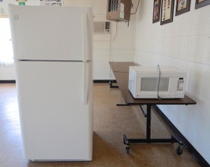 Refrigerator and microwave